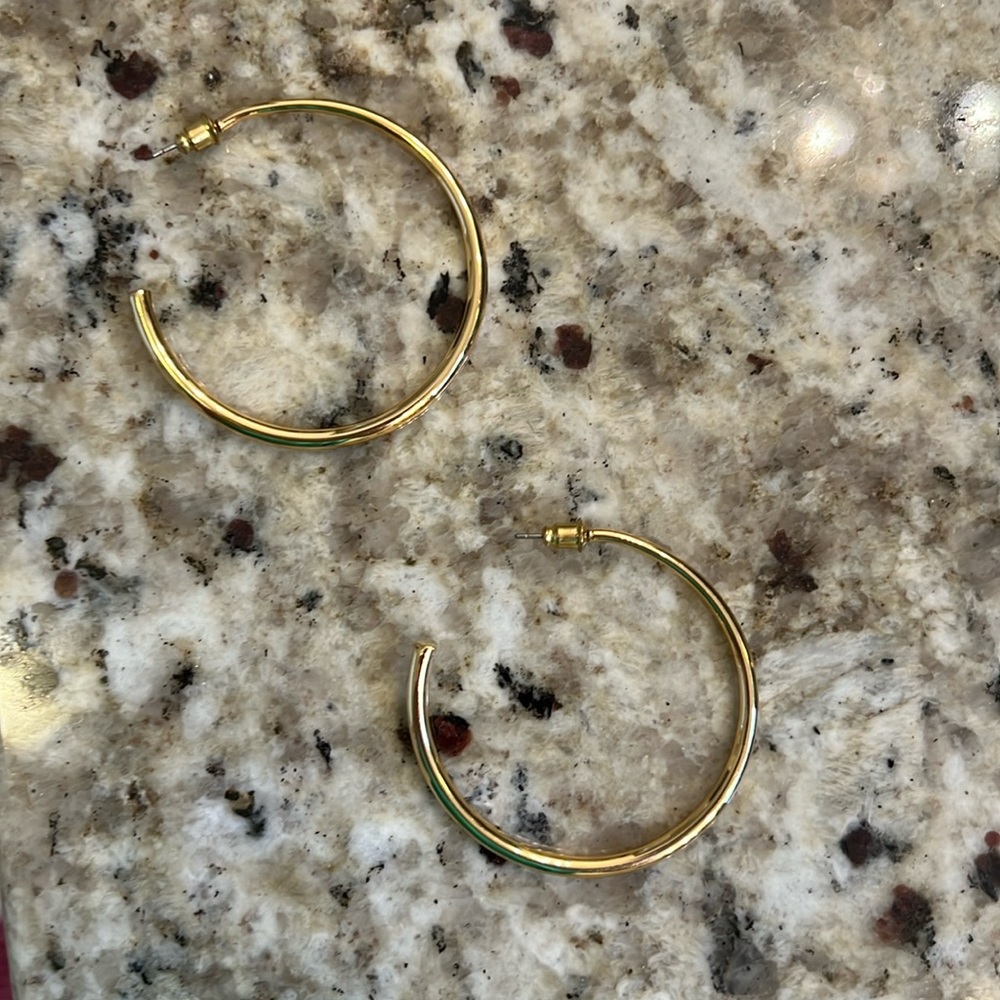 Uncommon James Hoop Earrings